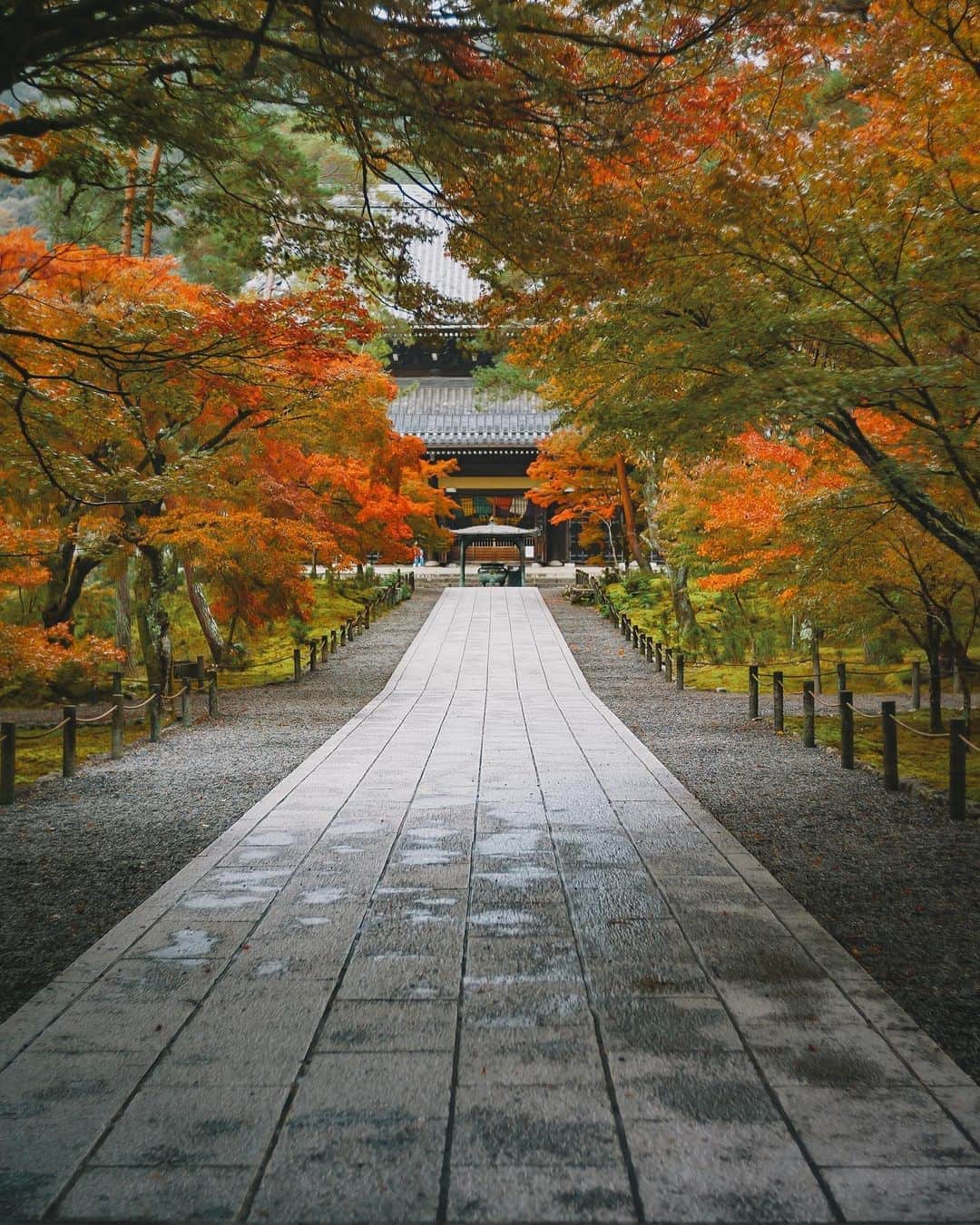 国分真央さんのインスタグラム写真 - (国分真央Instagram)「.﻿ そうだ 京都、行こうの仕事以来﻿ 行っていないので﻿... またゆっくり行きたいな🏯🍁𓂅﻿ ﻿ ﻿ ※特別な許可を得て撮影しています﻿ ﻿」10月13日 19時25分 - mao_kokubu