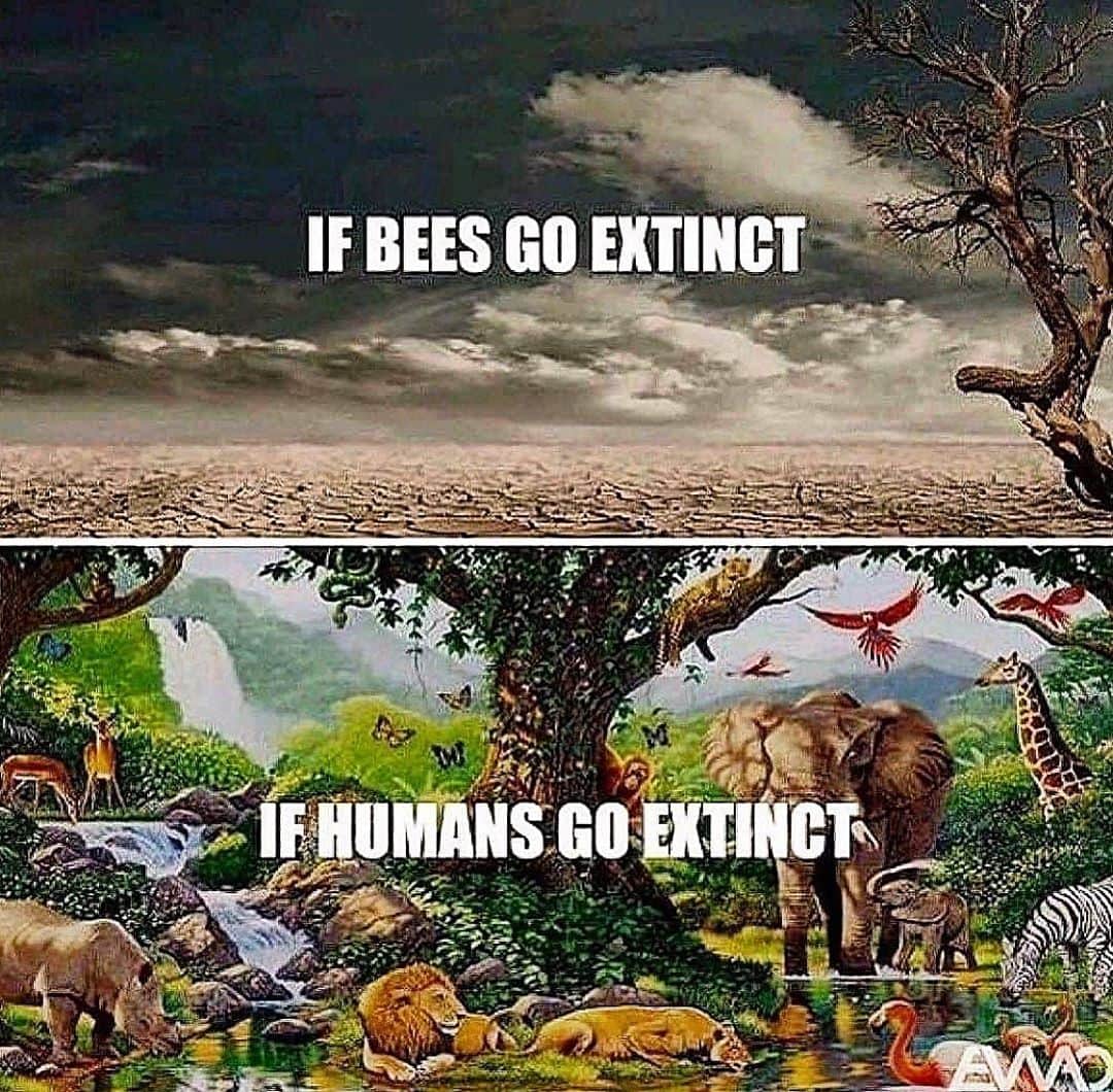 Erika Auroraさんのインスタグラム写真 - (Erika AuroraInstagram)「“Human beings are arguably the most intrusive species ever to have lived on Earth. In a few thousand years we have appropriated more than a third of the emerged lands, occupying them with our houses, our fields and our pastures. According to some estimates, we now control 40 percent of the planet's production capacity. And we are leaving behind a beautiful disaster: plowed grasslands, razed forests, drained aquifers, nuclear waste, chemical pollution, invasive species, mass extinction. And now also the specter of climate change. If they could, the other species we share the Earth with would drive us out without hesitation. "The sad truth is that the landscape would greatly improve once humans left the scene" What future do we want to give to the next generations? #noplanetb #savetheplanet #globalwarming #earth」10月13日 19時39分 - erika__aurora