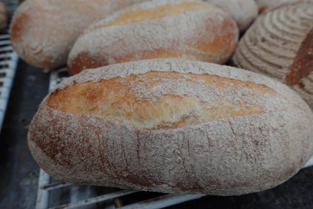 魔女菅原のグルメインスタ