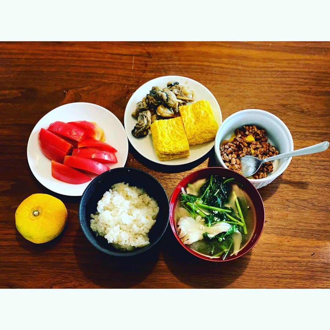 内田朝陽さんのインスタグラム写真 - (内田朝陽Instagram)「cooking 朝陽飯 ・ 牡蠣の焚き物、モロヘイヤの味噌汁、トマト、卵焼き、納豆、みかん ・ モロヘイヤやオクラには水溶性の食物繊維が豊富みたいです。キノコも免疫力の活性化できるみたいですね。 ・ #朝陽飯　#あさひめし　#アサヒ飯　#asahimeshi #cookingram #japanesefood #seasonalfood #seasons #定食　#朝定　#朝ご飯　#morning #あさごはん #牡蠣　#納豆　#モロヘイヤ」10月13日 11時45分 - asahi_uchida