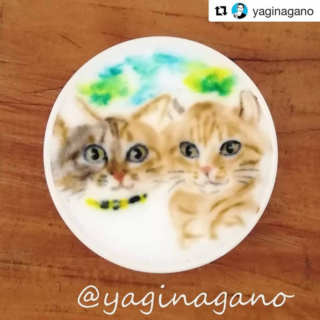 shigureさんのインスタグラム写真 - (shigureInstagram)「. フォロワーさんが描いて貰ってて一目惚れ😍 うちの2人も @yaginagano さんに描いてもらいました  一目見てあまねーーーってわかる💕 しぐれの耳の角度もまんま💕 .  ありがとうございした 宝物が増えました❤️ .  #みんなに届け元気玉 #ねこは人を笑顔にする #無敵の親バカ同盟 #InstagramJapan #IGersJapan #ねこ部 #関西ねこ部 #catsofInstagram #ふわもこ部 #mofmo #peppyフォト部 #みんねこ #peco #pecon #nyancon01 #ペコねこ部 #2020は猫年 #sippo #sippoストーリー #茶トラ男子部 #ginjercat #三毛猫 #calicocat」10月13日 12時37分 - shigureamanehaha