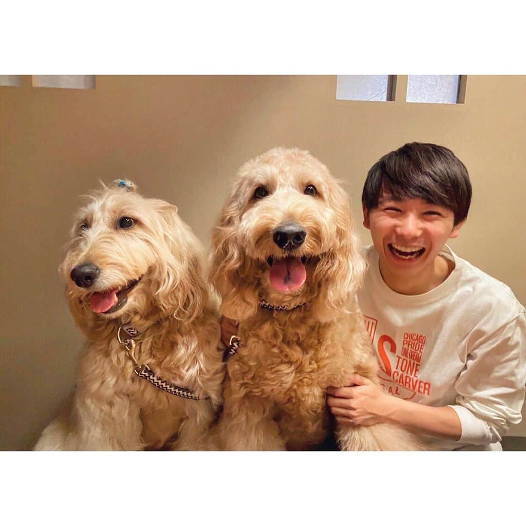 須賀健太のインスタグラム：「いい写真撮るよねぇ📷 @da_ice_hayate_wada  すがだ。」