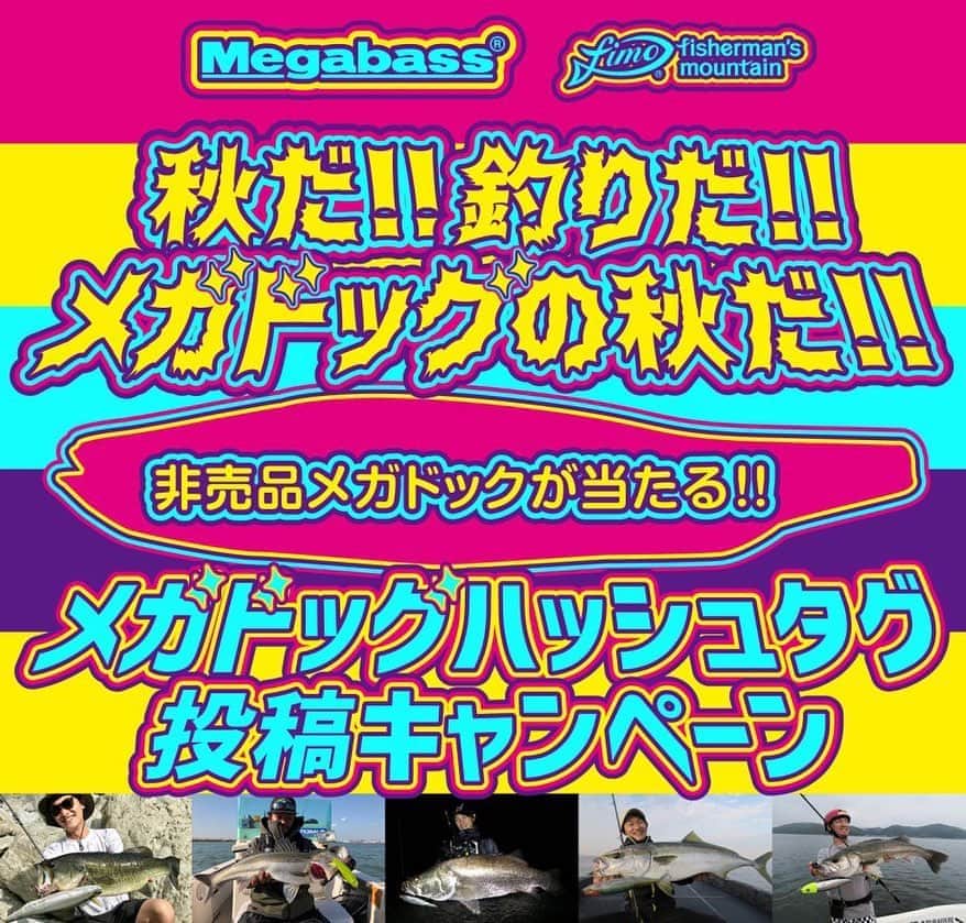 のインスタグラム：「. #メガドッグの秋   さぁ‼️ 魚種不問のハッシュタグ投稿キャンペーン開始‼️ 過去の釣果でもおkみたい🥺  イベント詳細は、 　@zatsuo408 のプロフから飛んでください‼️」
