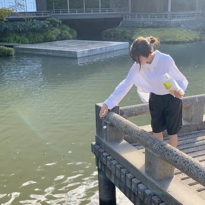 木本泉のグルメインスタ