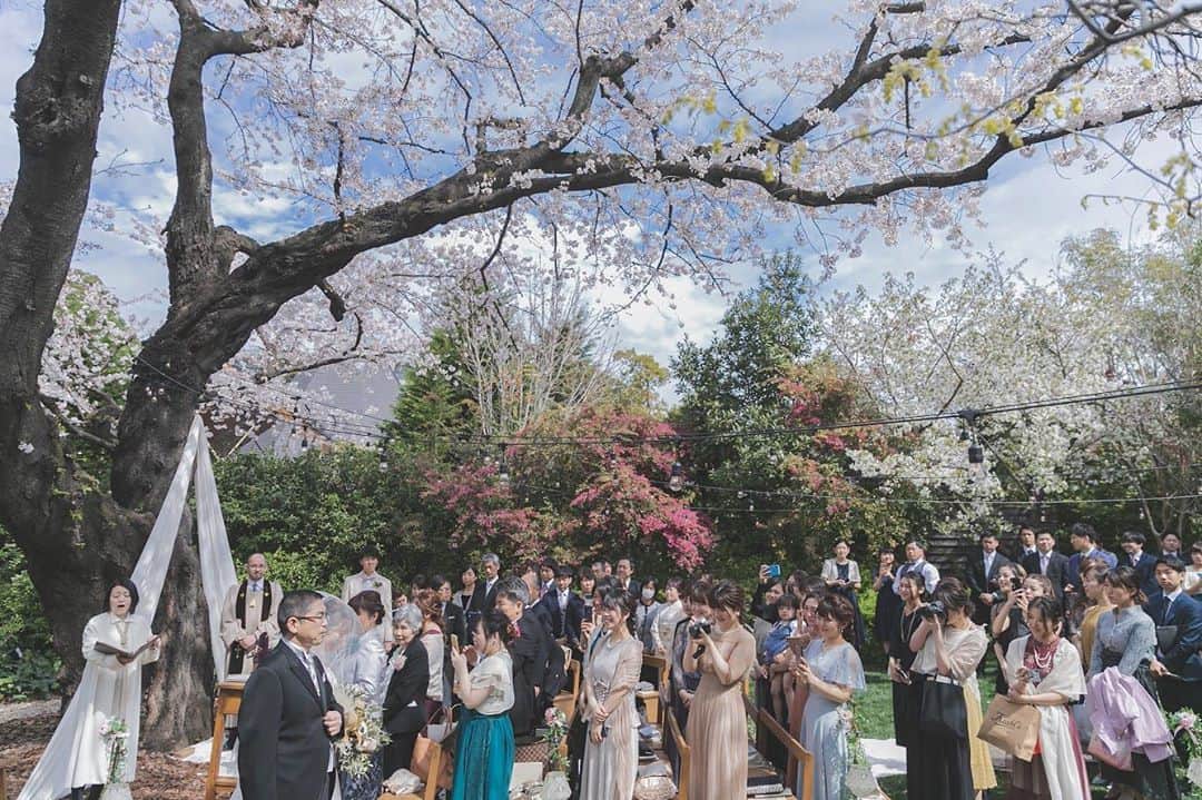 ラクラリエールのグルメインスタ