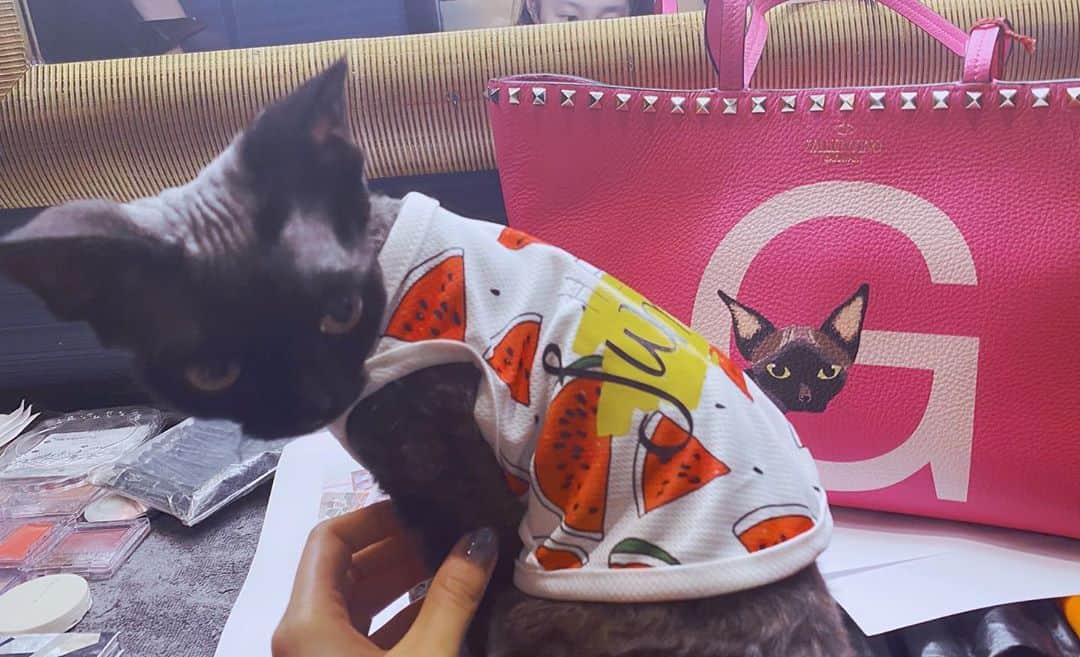 クアン・シャオトン（Guan Xiaotong）さんのインスタグラム写真 - (クアン・シャオトン（Guan Xiaotong）Instagram)「幸福的小猫咪～🤗😝🐱 thx @maisonvalentino」10月13日 14時48分 - stronger917