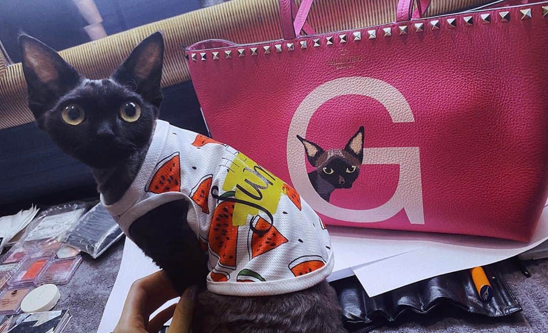 クアン・シャオトン（Guan Xiaotong）のインスタグラム：「幸福的小猫咪～🤗😝🐱 thx @maisonvalentino」