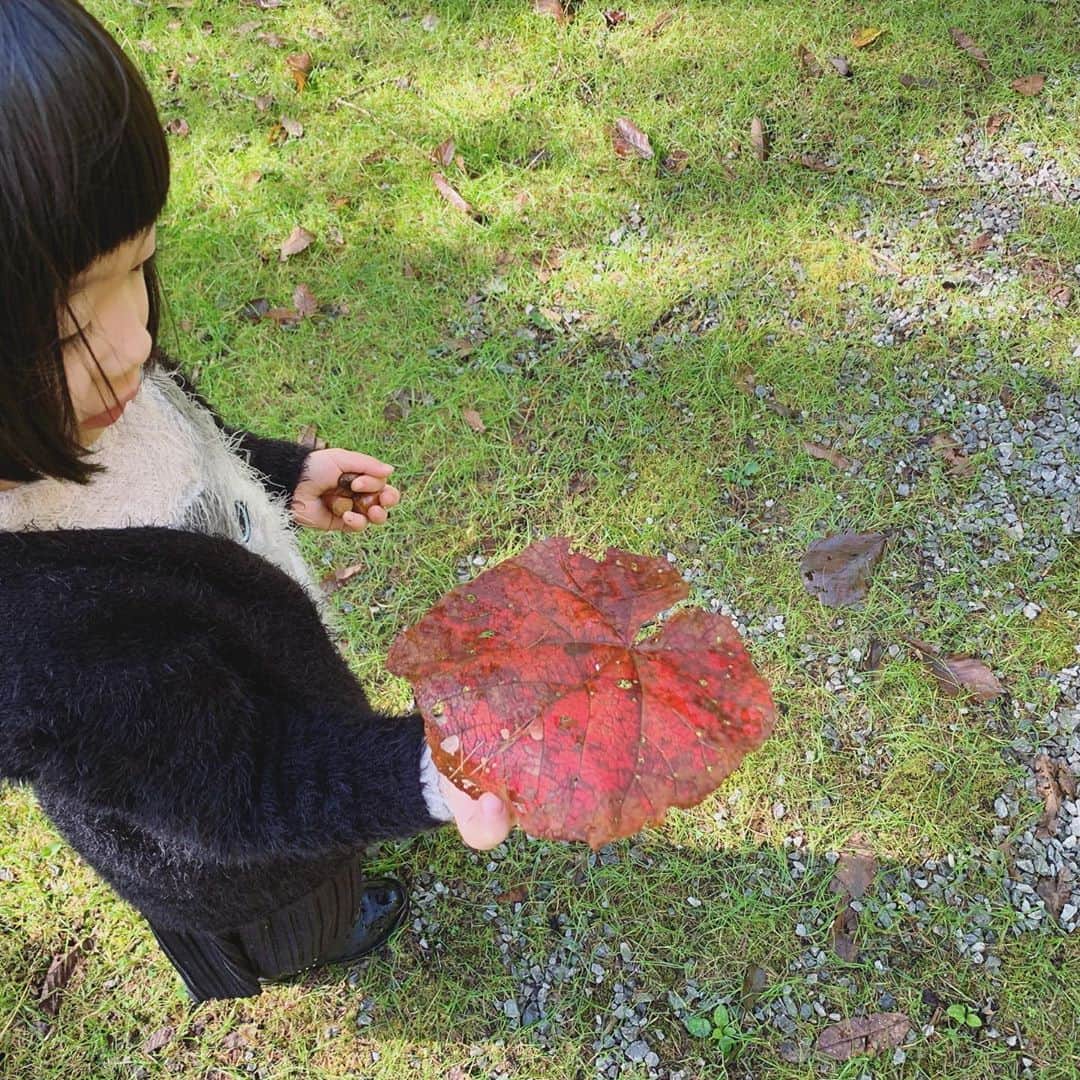 山本真由美さんのインスタグラム写真 - (山本真由美Instagram)「. . 5歳のおんなのこと 見つめた世界は、 キラキラしておりました🌱 🦢🐜🐸⁝⁞⁝⁞💎🌈 . . #長野 #nagano  #nature #japan  #autumn #morning  #軽井沢 #karuizawa  #stay #october #likeforlikes  #rain #sunny #play #music #発見 #food #eat #laugh #ちいさなともだち」10月13日 14時48分 - mayumi_yamamoto.official