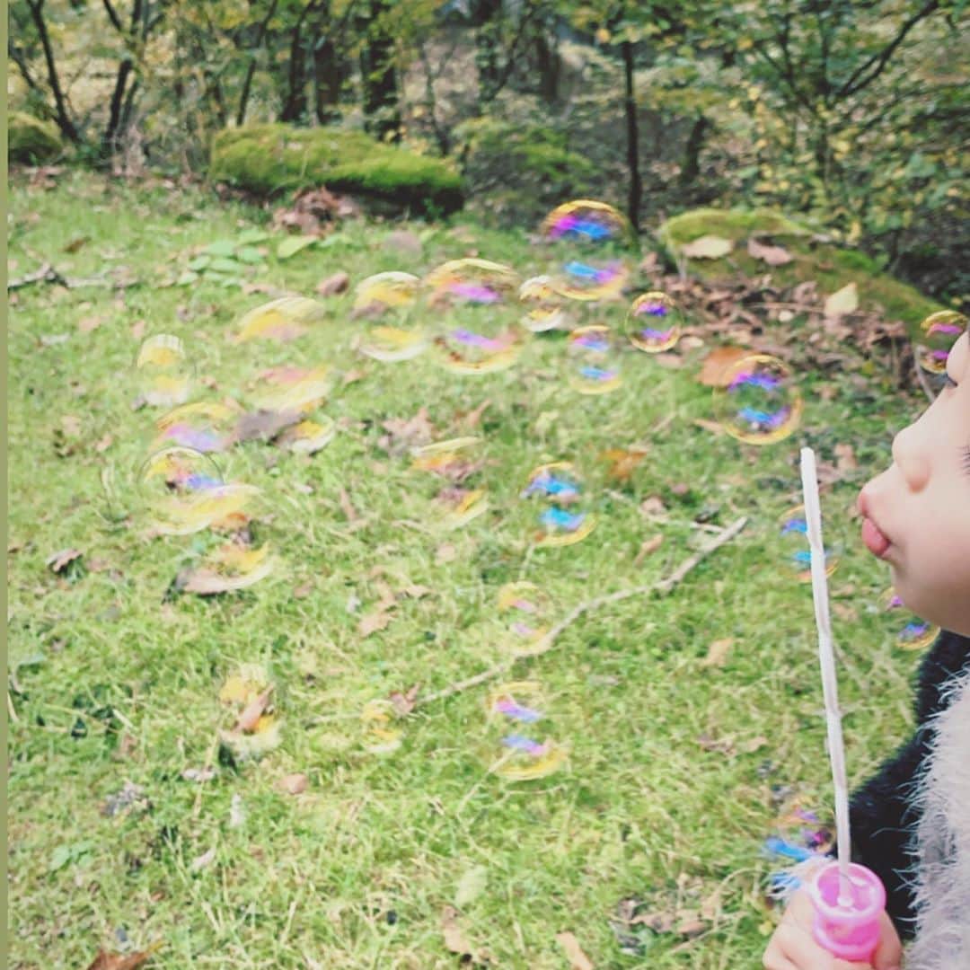 のインスタグラム：「. . 5歳のおんなのこと 見つめた世界は、 キラキラしておりました🌱 🦢🐜🐸⁝⁞⁝⁞💎🌈 . . #長野 #nagano  #nature #japan  #autumn #morning  #軽井沢 #karuizawa  #stay #october #likeforlikes  #rain #sunny #play #music #発見 #food #eat #laugh #ちいさなともだち」