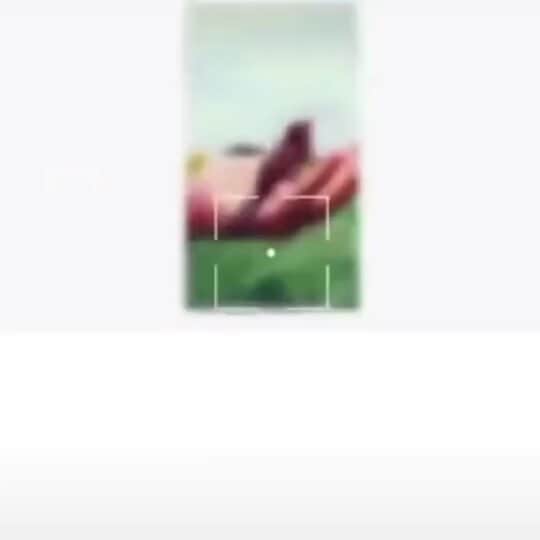 篠崎杏樹のインスタグラム