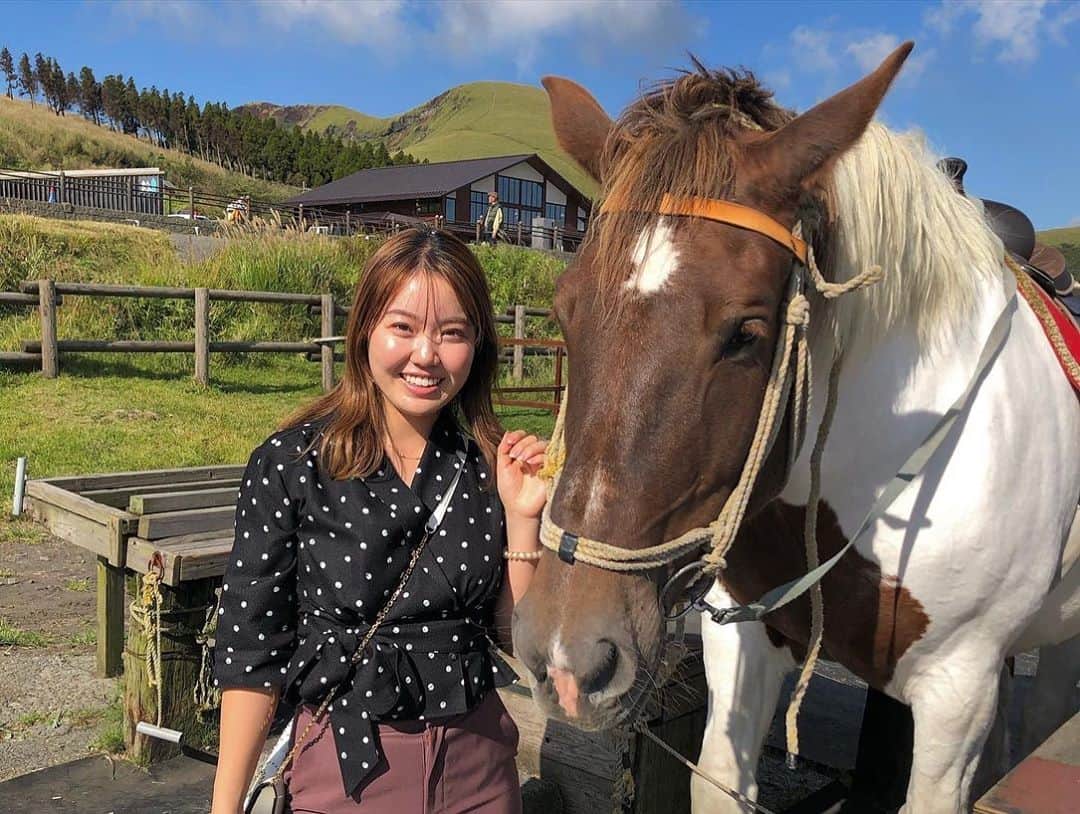 井上沙紀のインスタグラム：「この前、馬ちゃんに会いに行った時の🤤💘癒されまくった🤤 結婚式で馬乗って登場するのが夢です✌️wwww 夢持つのは自由よね⤴︎⤴︎⤴︎ #馬 #馬女子 #乗馬」