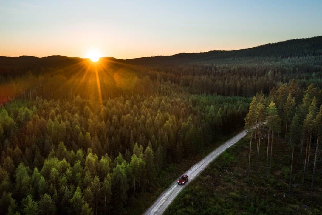 National Geographic Travelさんのインスタグラム写真 - (National Geographic TravelInstagram)「Photo by @MartinEdstrom / Driving through the vast and empty forests of Hälsingland in Sweden this summer, I couldn't help but feel a deepened sense of appreciation for the nature and wilderness that is close to home. While we're so often caught up in finding new places to explore on other parts of the planet, it's easy to miss what's left to explore at home, often just an hour or two away. For those of you who have been in lockdown but are still able to move about a bit, what have you been able to discover throughout this very challenging year?  Follow @MartinEdstrom for more images from Sweden and the Nordics. #exploringhome #sweden #forest #wilderness #wanderlust」10月13日 15時39分 - natgeotravel