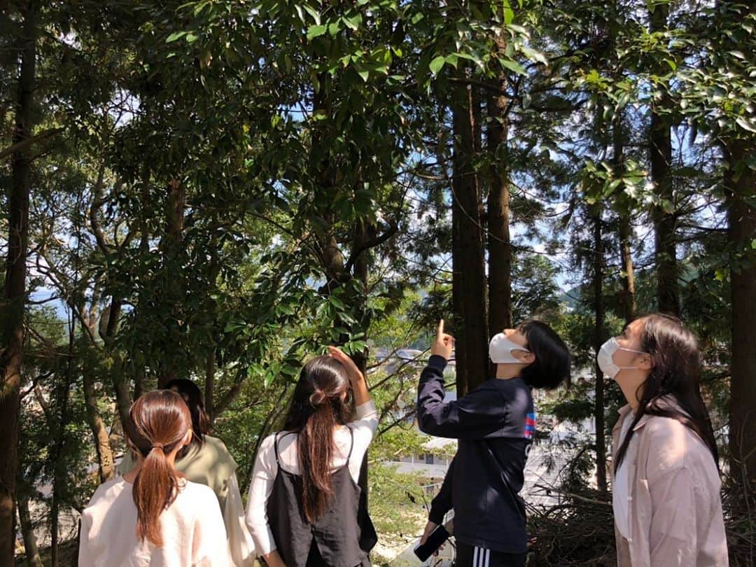 福岡女子短期大学さんのインスタグラム写真 - (福岡女子短期大学Instagram)「福岡女子短期大学子ども学科です。２年生の授業風景です。 . グループに分かれて学内の環境、自然や危険箇所等を調査しました。さわやかな秋晴れに恵まれて秋の実りの発見を楽しむこともできたようです。 . 秋は外遊びに最適な季節です。さて、次回は自然の変化を見て、触って、子どもと一緒に楽しむ遊びを考えていきましょう。 . 子ども学科の情報は、#福岡女子短期大学子ども学科 ←こちらのハッシュタグをご覧ください。 . =======[ お知らせ ]======= 福岡女子短期大学の資料（2021大学案内📕）を無料送付中です。プロフィールのリンクからお気軽に申し込みください🌟 ======================= 子ども学科/健康栄養学科 音楽科/文化教養学科 . 福岡女子短期大学 住所：‪‪‪‪福岡県太宰府市五条四丁目16番‬1号‬‬‬ tel：‪‪‪092-922-4034‬‬‬（代表） ． #福岡女子短期大学　#福岡の短大っていいな  #太宰府の短大　#福女短スナップ　#子ども学科　#保育士の卵　#幼稚園教諭の卵」10月13日 15時41分 - fukuoka_wjc