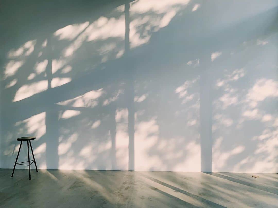 花盛友里さんのインスタグラム写真 - (花盛友里Instagram)「Breathtaking shadows.」10月13日 16時00分 - yurihanamori