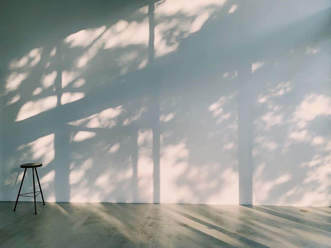 花盛友里のインスタグラム：「Breathtaking shadows.」
