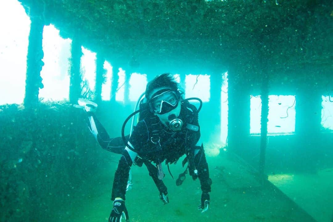 木村文乃さんのインスタグラム写真 - (木村文乃Instagram)「*** ん？  #ダイビング #diving #diver #水中カメラ #marinejungle#マリンジャングル#宮古島」10月13日 16時00分 - uminokimura_official
