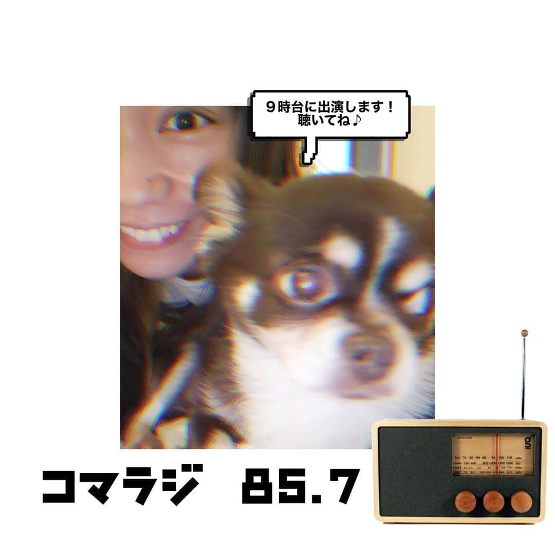 のインスタグラム：「明日の朝📻  コマラジの『KOMAE AM "WE" DNESDAY LOVES MUSIC！』に生出演させていただきます🙏🎶 朝8:00〜🌞  パソコンやアプリの『リスラジ』からもお聴きいただけます✨  通勤中やお仕事、家事のお供にひとつよろしくお願いいたします❣️  #コマラジ #ラジオ #コマエエフエム #多和田えみ   ※粋丸はお留守番です⚠️」