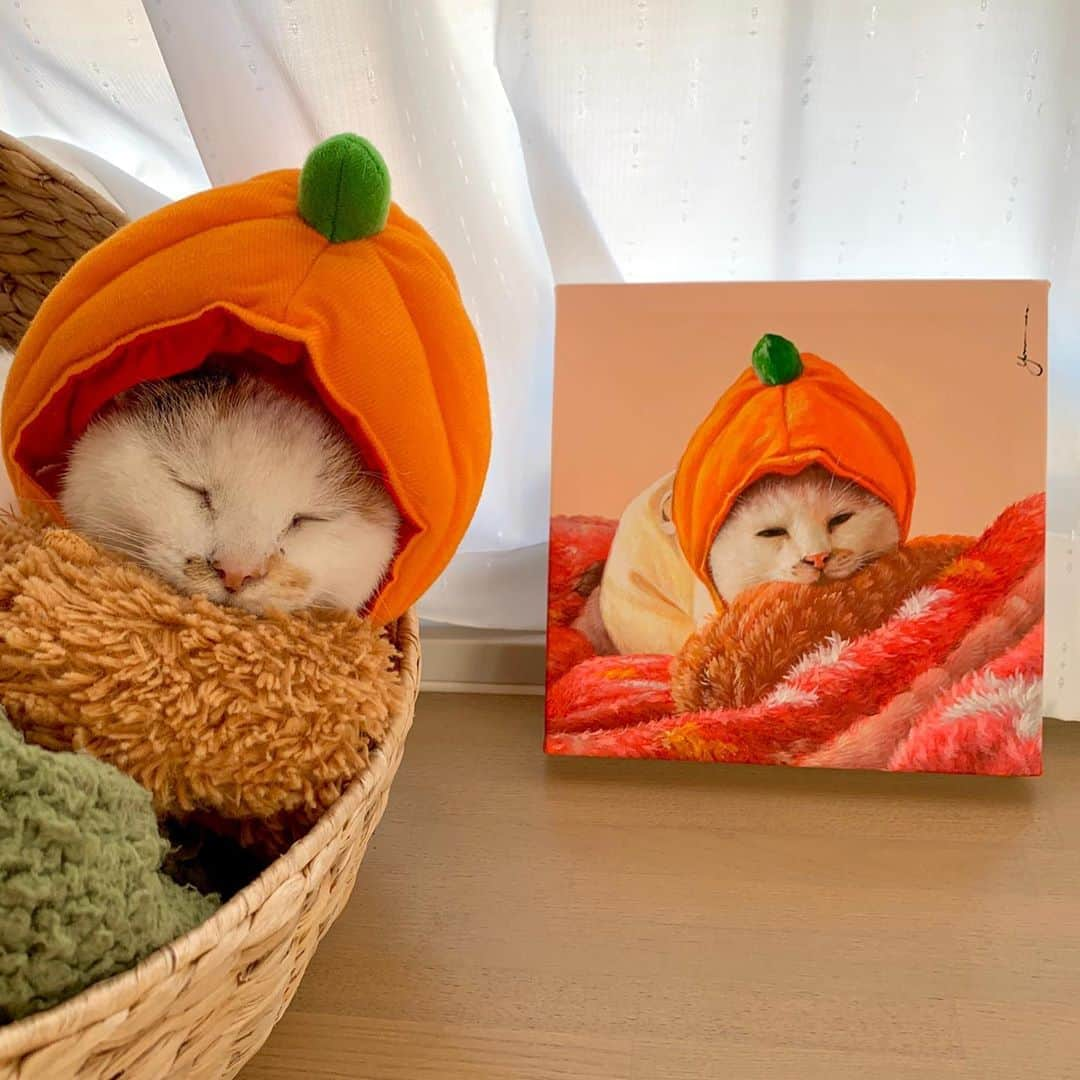 マルさんのインスタグラム写真 - (マルInstagram)「🍊こんにちは、マルみかんですよ₍^·͈༝·͈^ฅ  . @draw__pet  さんに油絵ペット肖像画を 描いて頂きました。 繊細な毛並み まるで写真みたいなマルみかんちゃん😆 . . #ペット肖像画#油絵#マルみかんちゃん#絵画#イラスト#おうち時間#もふもふ#ねこすたぐらむ#猫との暮らし#cat#ねこ部#みんねこ#bestmeow#三毛猫#猫#ふわもこ部#にゃんすたぐらむ#ペコねこ部#instacat_meow」10月13日 16時31分 - maruruna