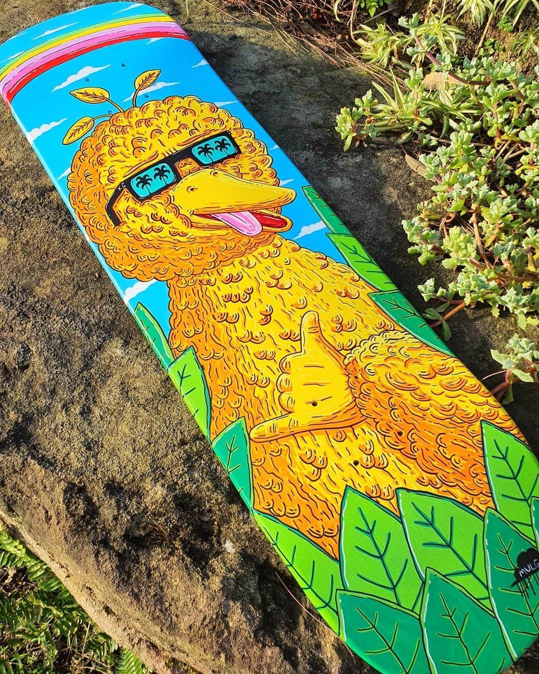 MULGAさんのインスタグラム写真 - (MULGAInstagram)「I hooked up with Japanese brand @uniqloau and got my creative on by painting Big Bird on a skatedeck whilst wearing a comfy Big Bird coloured cotton tee from their range. Much fun was had by one and all, stay tuned for the 'making of' vid coming soon.⁣ ⁣ Always nice when you match your art 😎🐥⁣ ⁣ #mulgatheartist #uniqloau #sponsored #skateboardart #bigbird #skateart #skatedeckart」10月13日 16時31分 - mulgatheartist