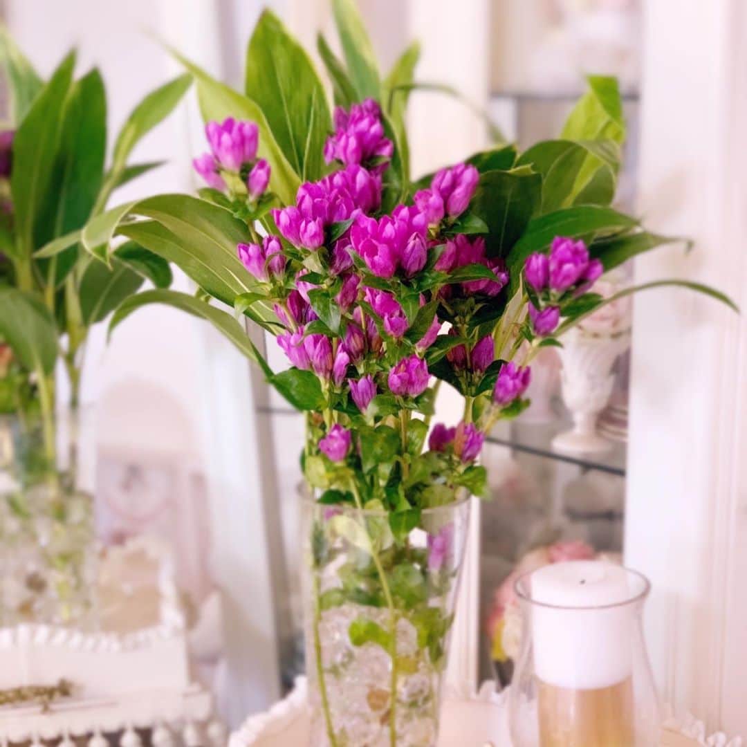 亀井京子（林京子）さんのインスタグラム写真 - (亀井京子（林京子）Instagram)「リビングのお花をビビットカラーに！！﻿ ﻿ 二枚目のりんどう、﻿ ﻿ 絶妙なピンク紫がツボ🥰  #花のある暮らし」10月13日 16時32分 - kyokokameiofficial