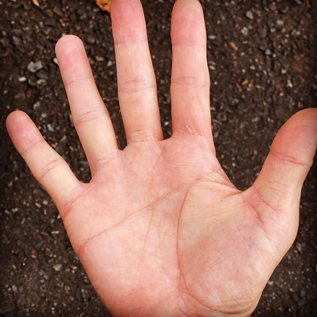 妻夫木聡さんのインスタグラム写真 - (妻夫木聡Instagram)「My hand  “Masukake “」10月13日 16時43分 - satoshi_tsumabuki_official