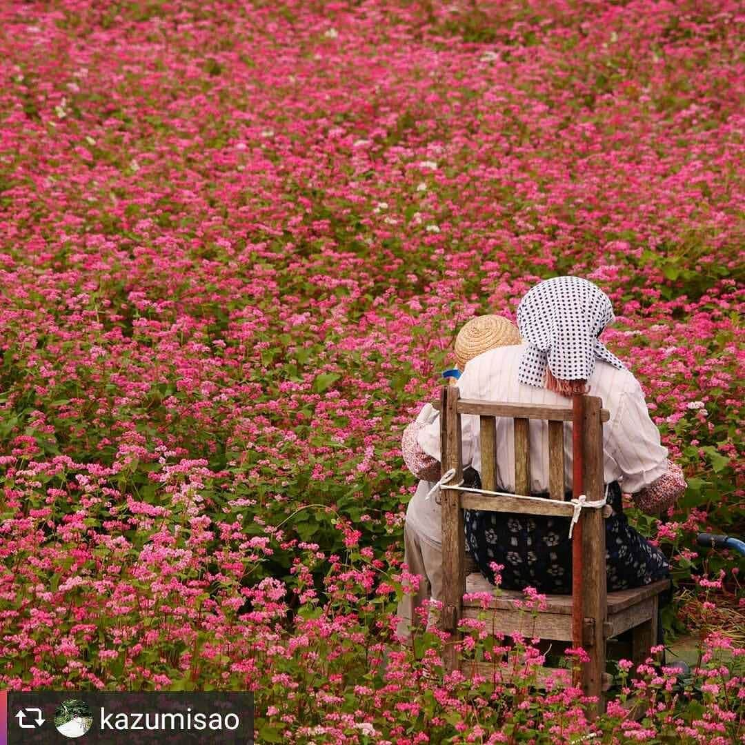 兵庫県のインスタグラム