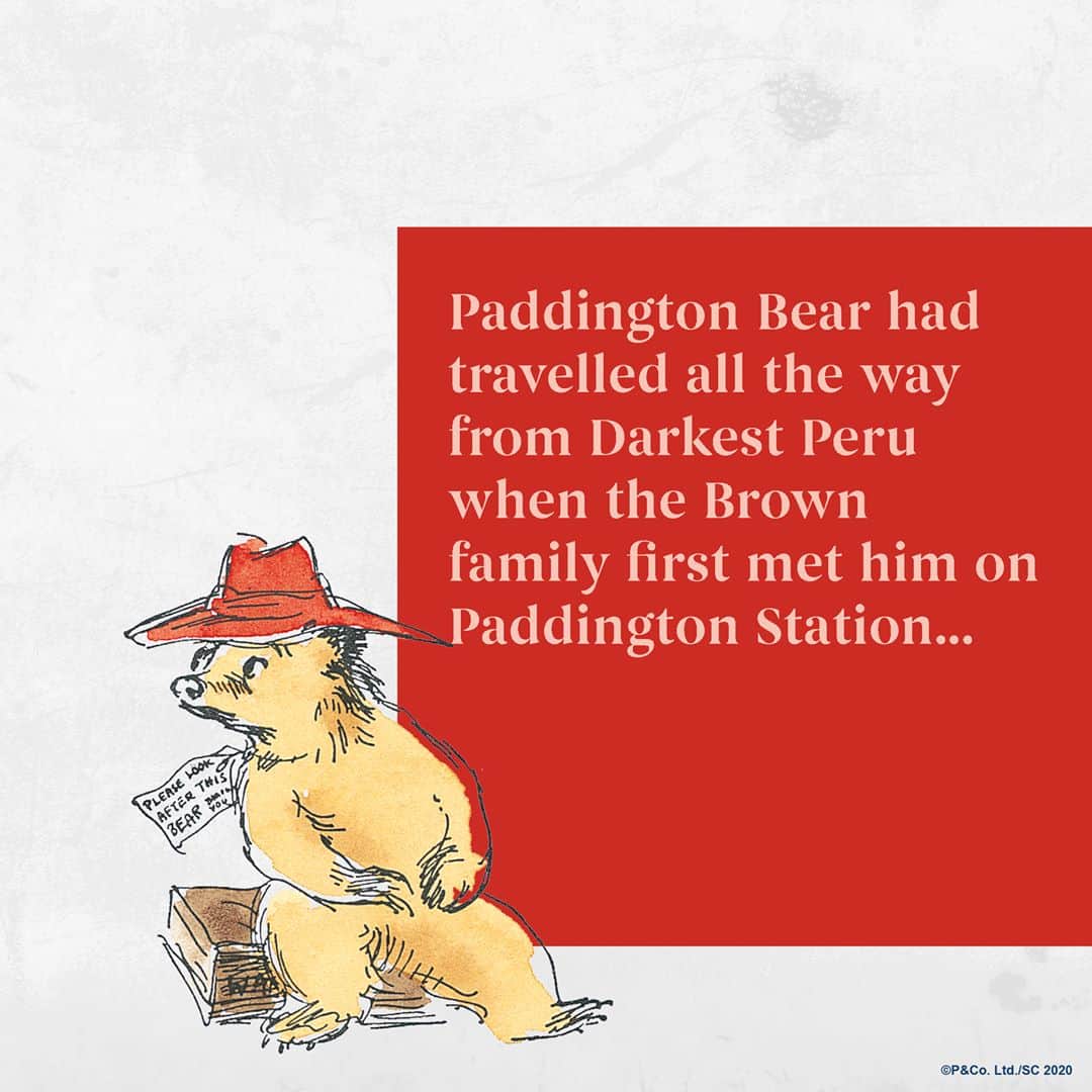 Paddington Bearさんのインスタグラム写真 - (Paddington BearInstagram)「62 years ago today, in 1958, the world was introduced to a young bear from Peru when the very first 'A Bear called Paddington' book was released.⁣ ⁣ Thank you, Mr Bond.」10月13日 18時09分 - paddingtonbear