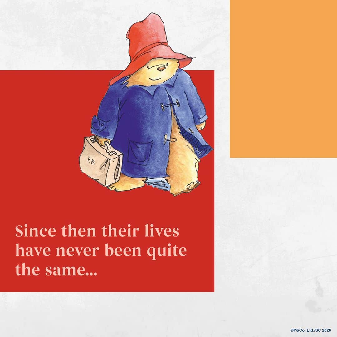 Paddington Bearさんのインスタグラム写真 - (Paddington BearInstagram)「62 years ago today, in 1958, the world was introduced to a young bear from Peru when the very first 'A Bear called Paddington' book was released.⁣ ⁣ Thank you, Mr Bond.」10月13日 18時09分 - paddingtonbear