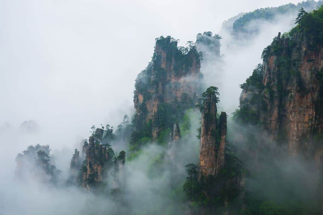 National Geographic Travelさんのインスタグラム写真 - (National Geographic TravelInstagram)「Photos by Michael Yamashita @yamashitaphoto / Mountains in the mist in Wulingyuan National Park, Hunan, China. This UNESCO World Heritage site is noted for having more than 3,000 sandstone pillars and peaks, many over 200 meters (660 feet) in height. It was the inspiration for the floating Hallelujah Mountains of Pandora in the blockbuster film "Avatar." The trick to photographing these pillars is to capture them during or after a rain, when the supermoist air creates foggy conditions. I photographed these mountains four times in four different seasons and only saw the fog twice, for less than an hour. Without fog, in my opinion, there is no picture. #wulingyuannationalpark #wulingyuan #zhangjiajie #avatar #hallelujahmountains」10月14日 3時58分 - natgeotravel