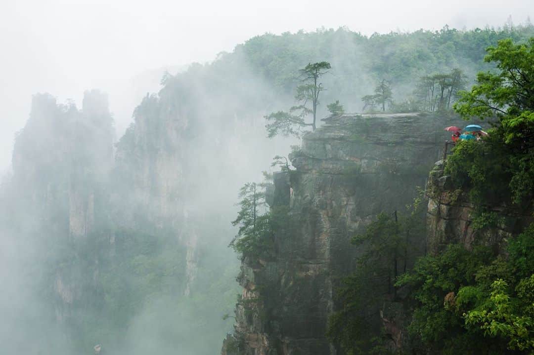 National Geographic Travelさんのインスタグラム写真 - (National Geographic TravelInstagram)「Photos by Michael Yamashita @yamashitaphoto / Mountains in the mist in Wulingyuan National Park, Hunan, China. This UNESCO World Heritage site is noted for having more than 3,000 sandstone pillars and peaks, many over 200 meters (660 feet) in height. It was the inspiration for the floating Hallelujah Mountains of Pandora in the blockbuster film "Avatar." The trick to photographing these pillars is to capture them during or after a rain, when the supermoist air creates foggy conditions. I photographed these mountains four times in four different seasons and only saw the fog twice, for less than an hour. Without fog, in my opinion, there is no picture. #wulingyuannationalpark #wulingyuan #zhangjiajie #avatar #hallelujahmountains」10月14日 3時58分 - natgeotravel