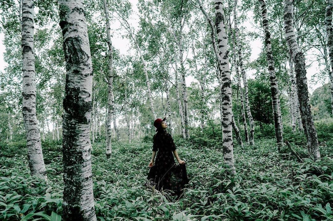 shabonさんのインスタグラム写真 - (shabonInstagram)「* . . . . . 【White birch forest】 夏と秋の間の白樺林はまだグリーンが美しい。 奥の木々まで綺麗に描写してくれた。 ソニー フルサイズミラーレス一眼 α7Cで撮影。 . こちらで他の写真も見られます。 ソニーα Universe スペシャルコンテンツ 「NEWgeneration」 sony.jp/ichigan/a-universe/special_newgen/ . 提供：ソニーマーケティング株式会社 . . . . . . * #ソニー #フルサイズミラーレス #α7c #sel24f14gm #newgeneration #sony #alpha #sonyalpha #alphauniverse #a7c #撮影 #camera #photography #写真 #portraitphotography」10月13日 20時38分 - shabon