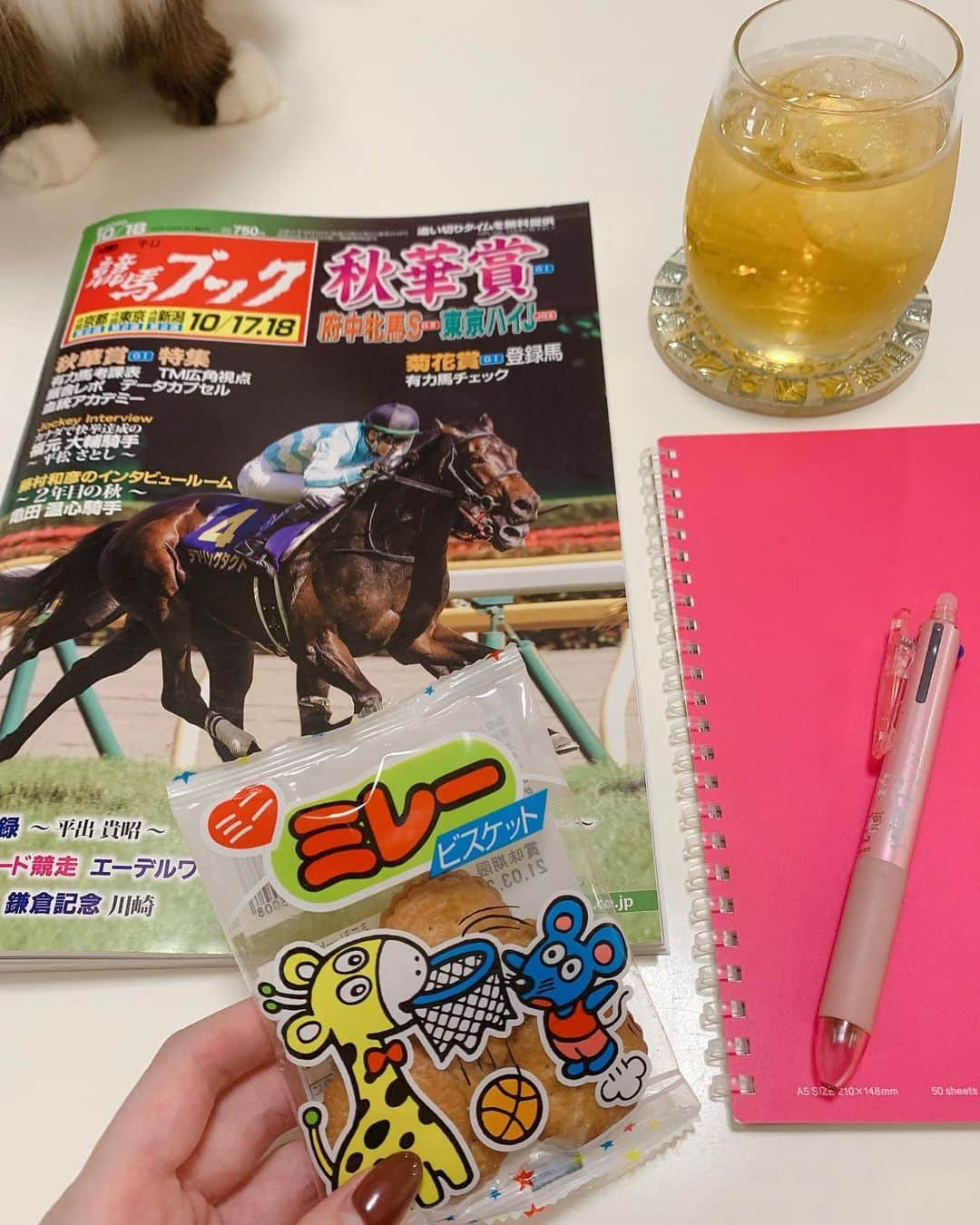 國嶋絢香さんのインスタグラム写真 - (國嶋絢香Instagram)「いよいよ今週末は、GⅠ 秋華賞🏇✨ 明日の取材に向けての予習にも気合いが入ります💪🏽 . そんな今回の勉強のお供は、ミレービスケット🍪と競馬ブックを買いに行った時にコンビニのくじ( 700円以上買ったら引けるやつ )で当たったレモンティー🍋笑 . しぇり子ちゃんはビスケット一択みたいです🤔💭 凄い馬と凄い騎手なんだよ🤣踏まないで下さーい🤚🏽 . . #ネイル伸びすぎ問題 #明後日行きます突っ込まないで #ミレービスケット #最近知った人 #田舎者なのに #駄菓子全然知らない芸人  #猫大好き競馬ブック #猫大好きミレービスケット」10月13日 20時44分 - ayakakunishima