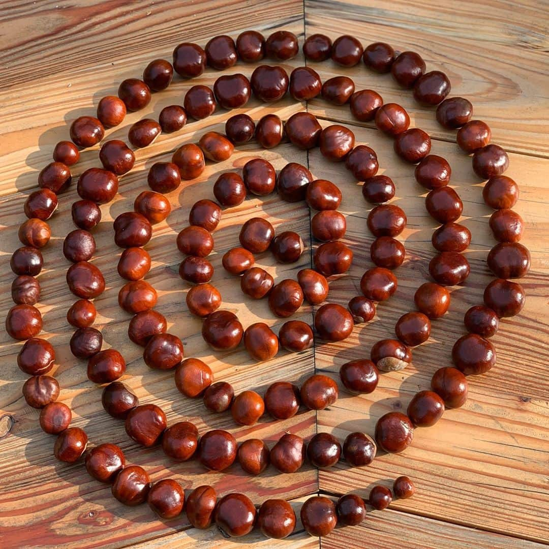 ドウツェン・クロースさんのインスタグラム写真 - (ドウツェン・クロースInstagram)「Yesterday Myllena and I went for a chestnut hunt and we created this spiral. Today I looked online for a spiritual meaning of the spiral and found this quote:   ‘The spiral can represent evolution and surrender. It can symbolize the way that stars and planets, and time revolve. It will represent being aware of a piece being part of a whole. The spiral will symbolize connection to God and the energy of the cosmos. Spirals can represent harmony, beginning, concentration, and focus. They can be used to expand, connect, and develop the mind. Spirals represent journey, direction, and progress.’ -Leah Dimurio-  Since I have been taking time for myself going inwards and feeling a deep connection to everything that is, life has been magical! Like creating this spiral with my daughter and reading this quote! Magic and synchronicity is everywhere if you find out how to look 💫」10月13日 20時49分 - doutzen