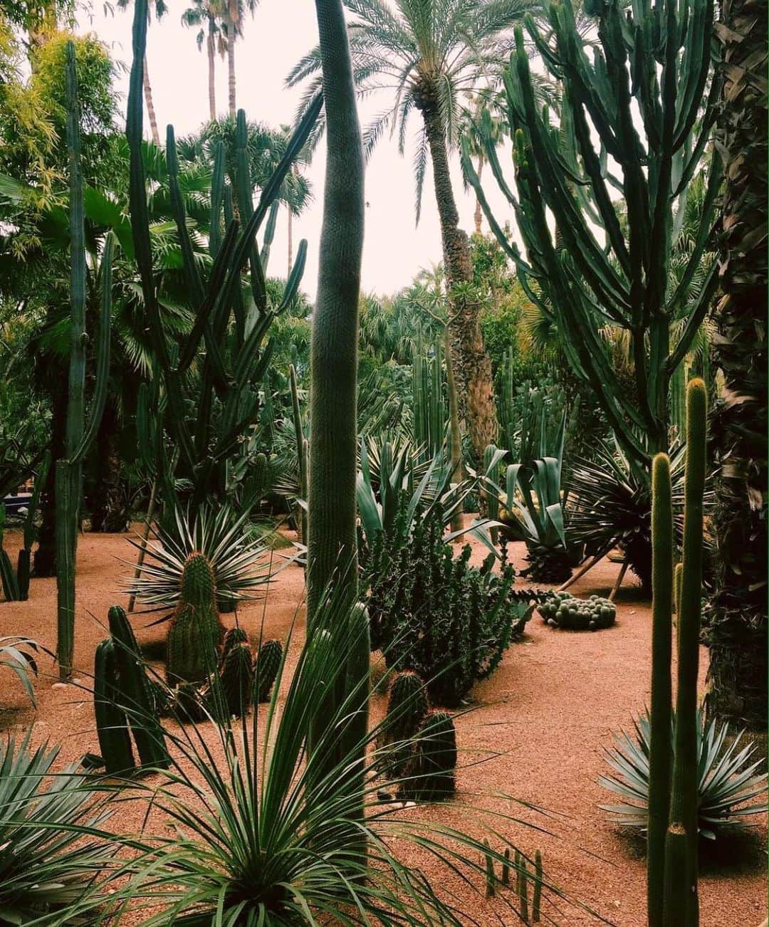 ファニー・リックマンのインスタグラム：「Grateful for the all the magical places I had the privilege to travel to and all the beautiful things I’ve seen and experienced in life 🎞」