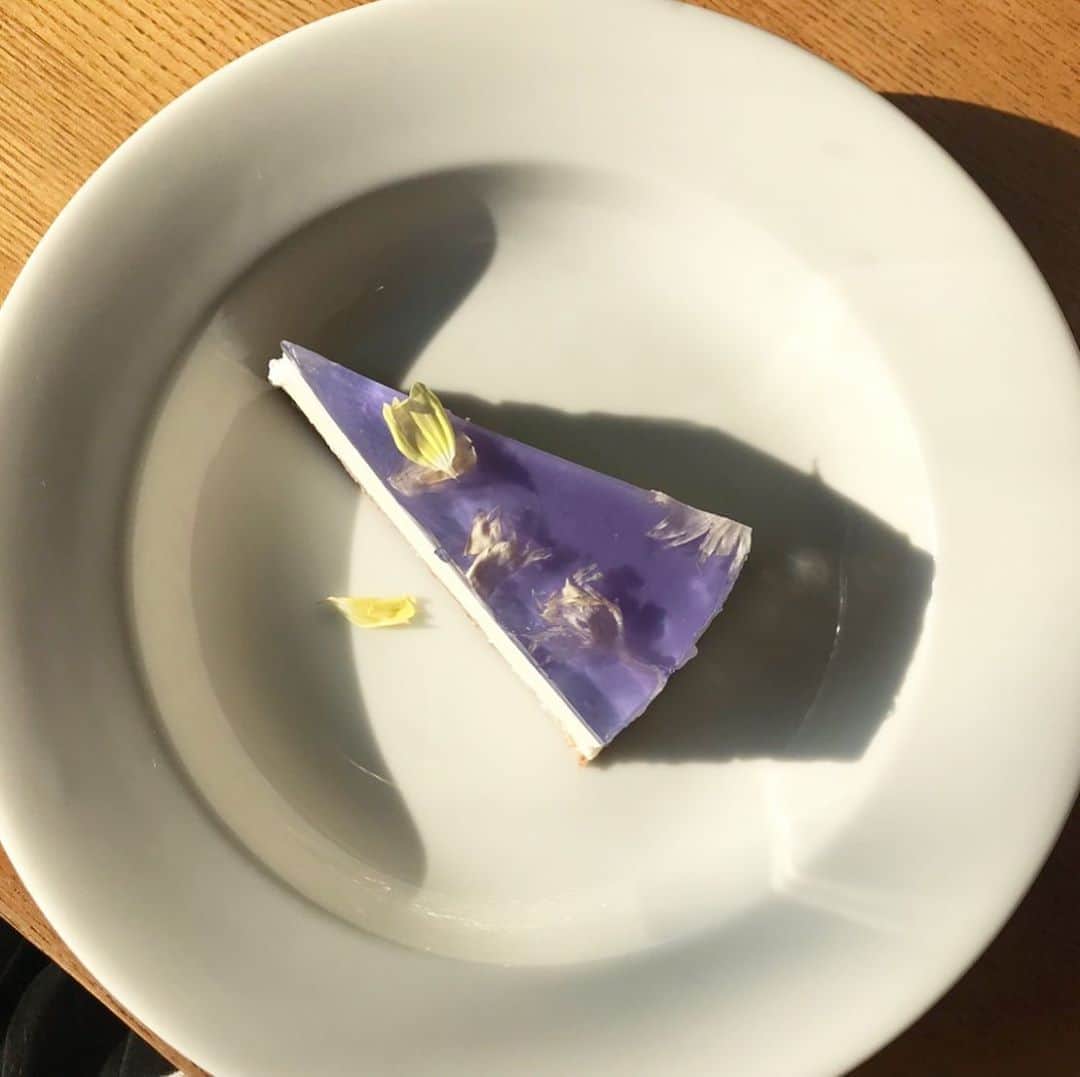 ほたるのグルメインスタ