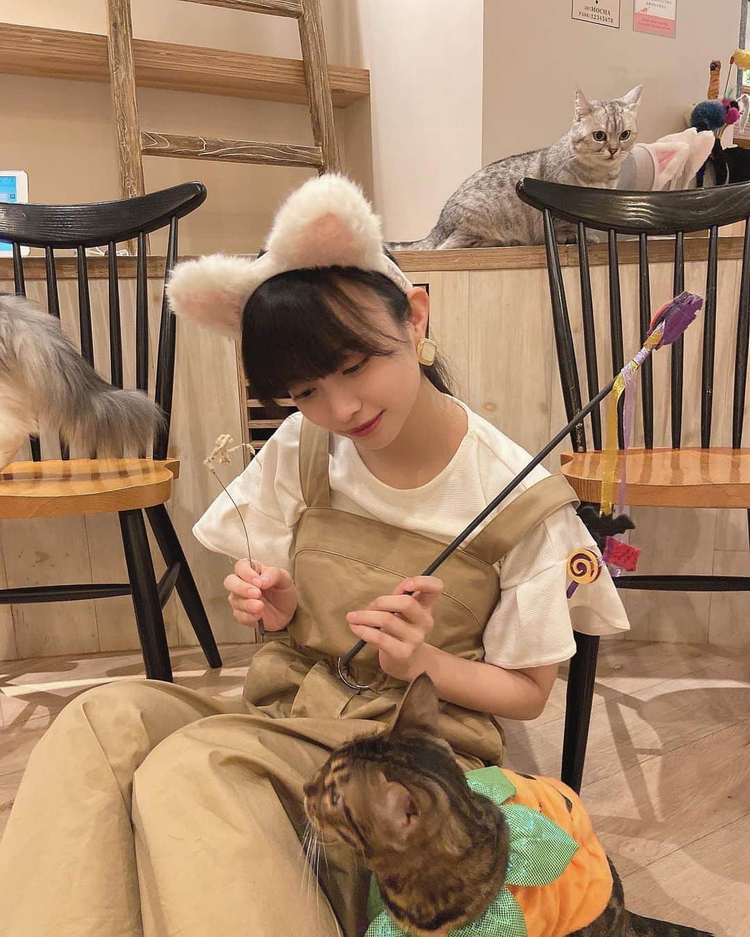 桜木ことのグルメインスタ