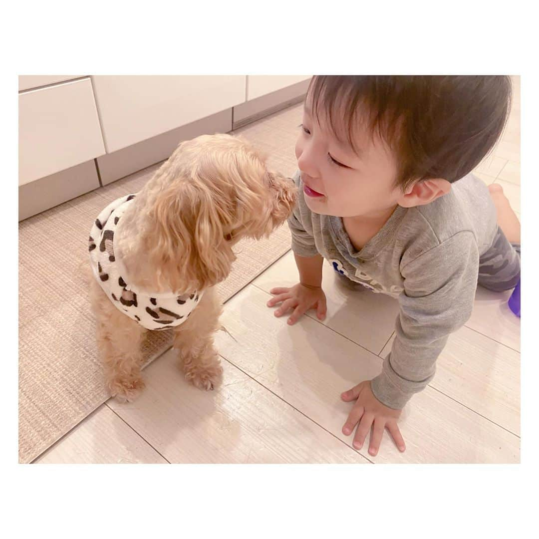 辻希美さんのインスタグラム写真 - (辻希美Instagram)「🐶👶💕"  #幸空 #一歳十ヶ月 #クック #ラブラブ #🐶👶💕 #可愛い過ぎる #❤️」10月13日 22時09分 - tsujinozomi_official