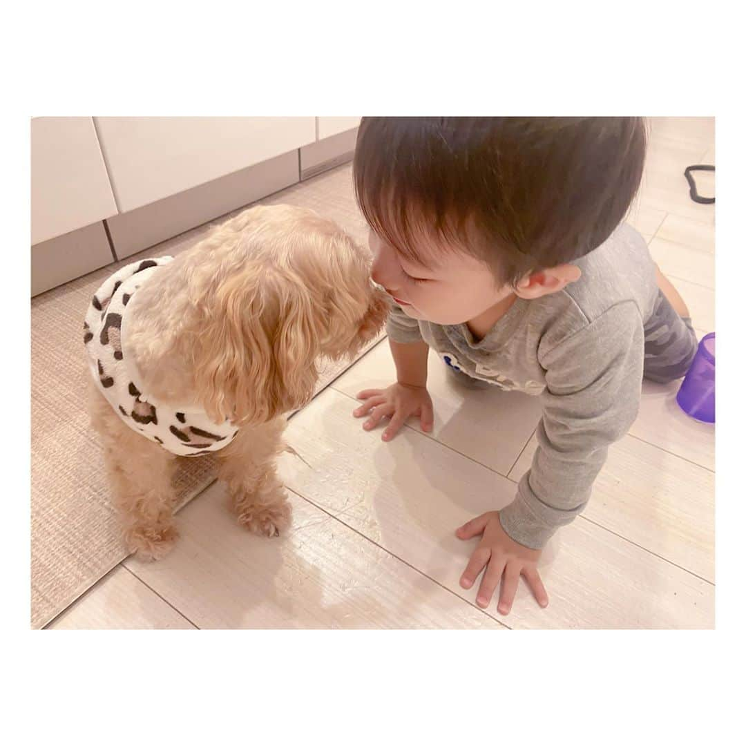 辻希美さんのインスタグラム写真 - (辻希美Instagram)「🐶👶💕"  #幸空 #一歳十ヶ月 #クック #ラブラブ #🐶👶💕 #可愛い過ぎる #❤️」10月13日 22時09分 - tsujinozomi_official