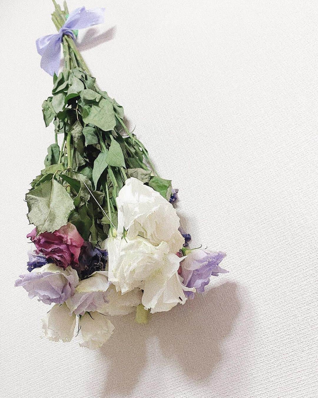 石橋ななのインスタグラム：「🤍  #flower #instalike  #instagood #ribbon」