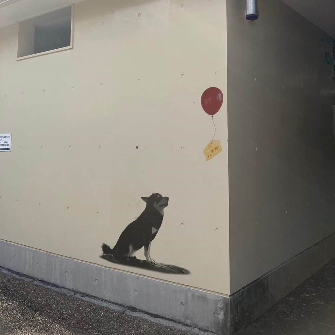 vo_coさんのインスタグラム写真 - (vo_coInstagram)「🐾 森のトイレの壁にバンクシーが来たとか来てないとか… * #本気にしちゃダメよ #バンクシー  #graffiti  #ワンクシー #バンク柴 #shibastagram #instashiba #shiba #shibainu #黒柴 #柴犬」10月13日 23時20分 - vo_co