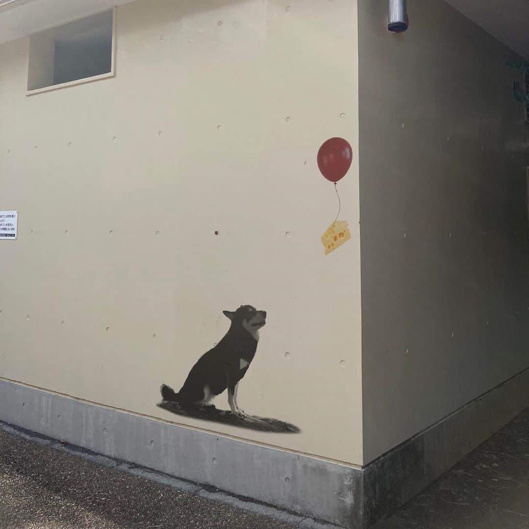 vo_coのインスタグラム：「🐾 森のトイレの壁にバンクシーが来たとか来てないとか… * #本気にしちゃダメよ #バンクシー  #graffiti  #ワンクシー #バンク柴 #shibastagram #instashiba #shiba #shibainu #黒柴 #柴犬」