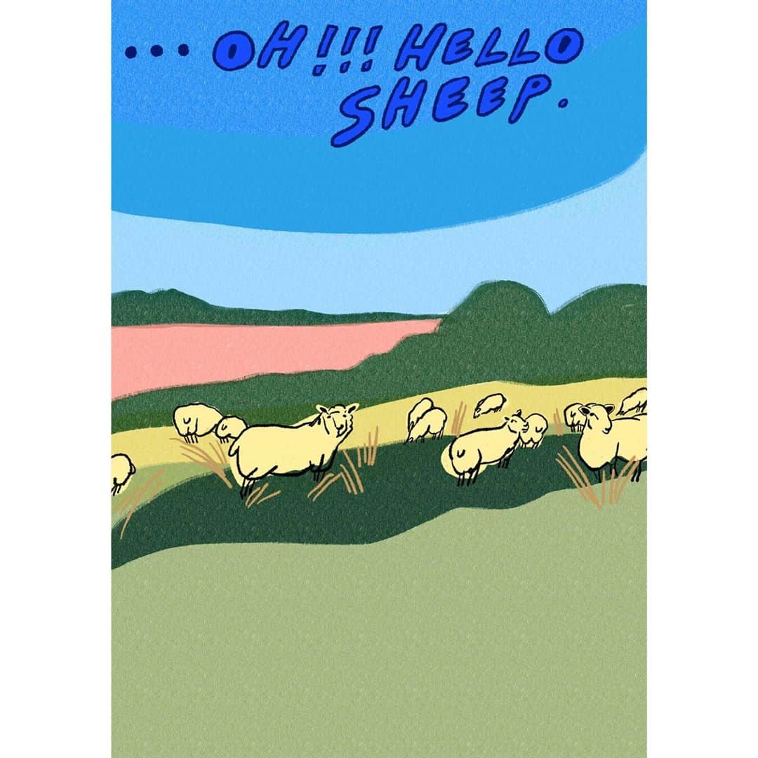 nanamyのインスタグラム：「【Behind story of 'WHAT I SEE' illustrations vol.1】This one was from my first visit to UK, Chipping Norton. So many beautiful greens all around, and it was my first time with lots of cute sheeps! Lovely times 🌿🌿🇬🇧🐑🐑🐑 ・ この絵は去年初めてイギリスに行った時、かわいい羊たちに出会った場面。彼のホームタウンがロンドンから約1時間程？の緑豊かなコッツウォルズ地方にあるので、お邪魔した時に連れて行ってくれた壮大な広さの野原にいた羊たち。近づきたかったけど、みんなマイペースにのんびりしてたから、邪魔しないように退散しました。また行きたいな🐑」