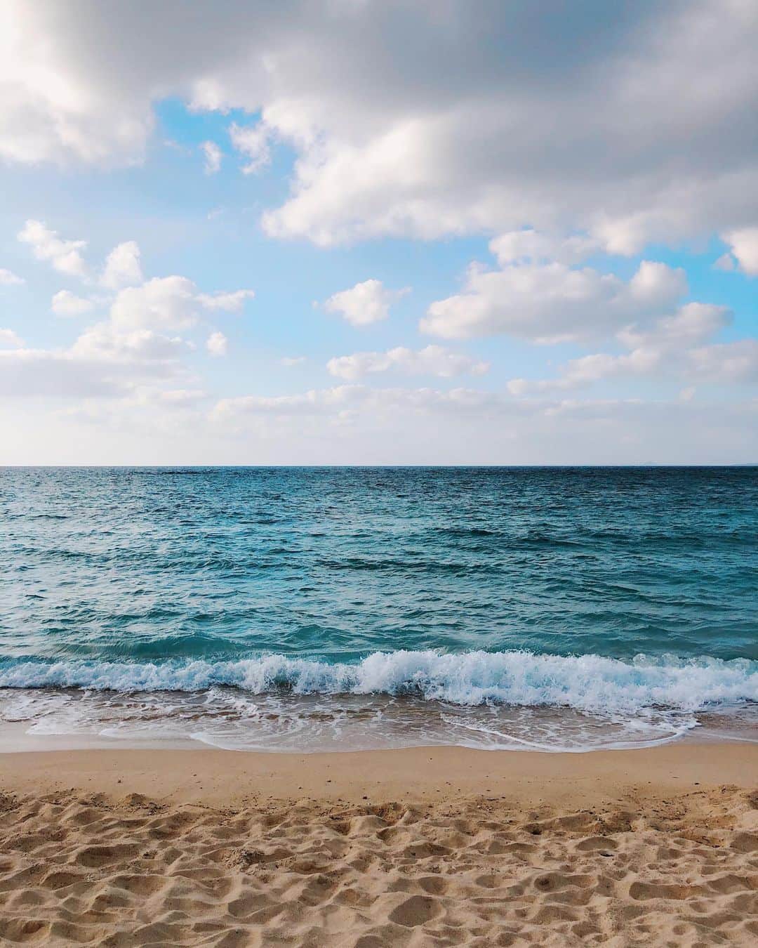 三永武明さんのインスタグラム写真 - (三永武明Instagram)「撮影だけではもったいないくらいの沖縄をおすそわけします🌺ヤドカリも葉っぱも海もみんな頑張ってるね。みんなもファイト！#まだまだ #暑いよ #沖縄」10月13日 23時35分 - takeaki_mitsunaga