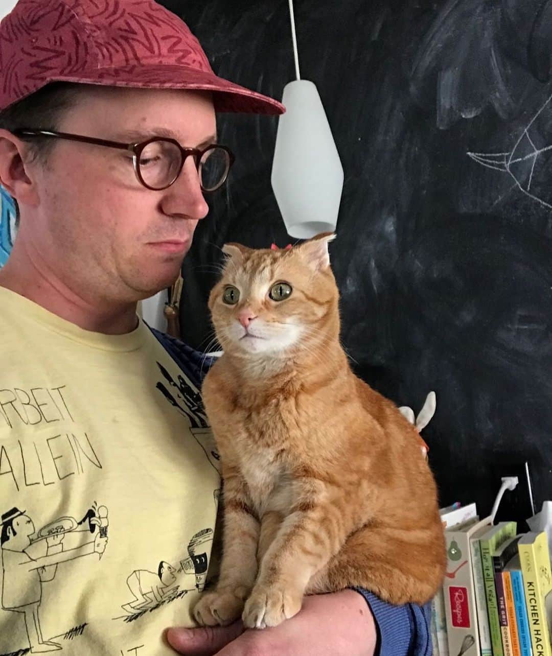 のインスタグラム：「Found this old photo of #cheetochan that shows him in all his regal glory.」
