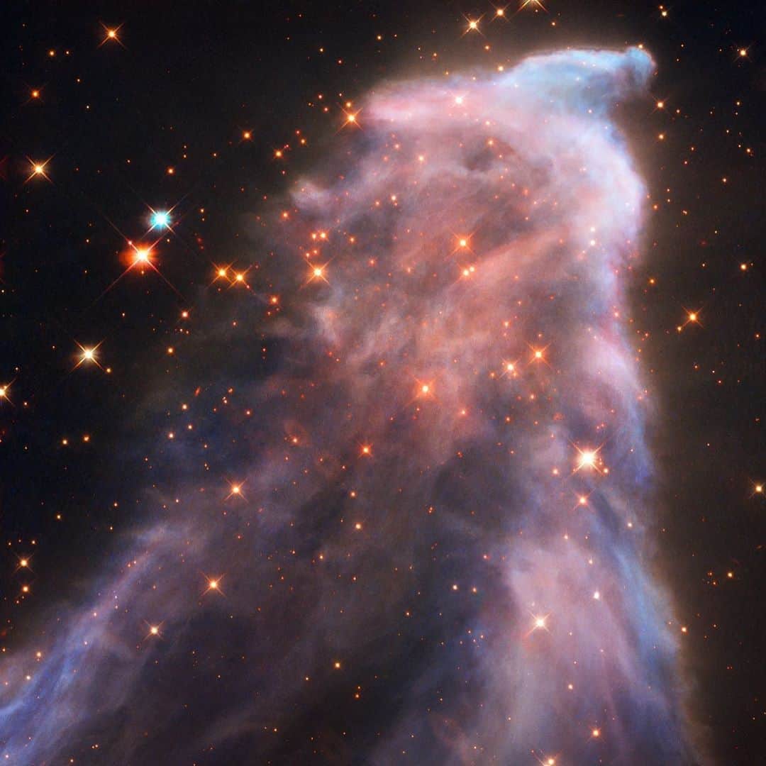 NASAさんのインスタグラム写真 - (NASAInstagram)「A Beautiful Ghost ⁣👻 ⁣ Officially known as IC 63, the Ghost Nebula is located 550 light-years away in the constellation Cassiopeia the Queen.⁣ ⁣ @NASAHubble snapped this image that shows how the brightest stars embedded in nebulae throughout our galaxy pour out a torrent of radiation that eats into vast clouds of hydrogen gas – the raw material for building new stars. This etching process sculpts a fantasy landscape where human imagination can see all kinds of shapes and figures.⁣ ⁣ Credit: NASA, ESA, and STScI/Acknowledgment: H. Arab (University of Strasbourg)⁣ ⁣ #NASA #Space #GhostNebula #Universe #Hubble⁣ ⁣」10月14日 0時29分 - nasa