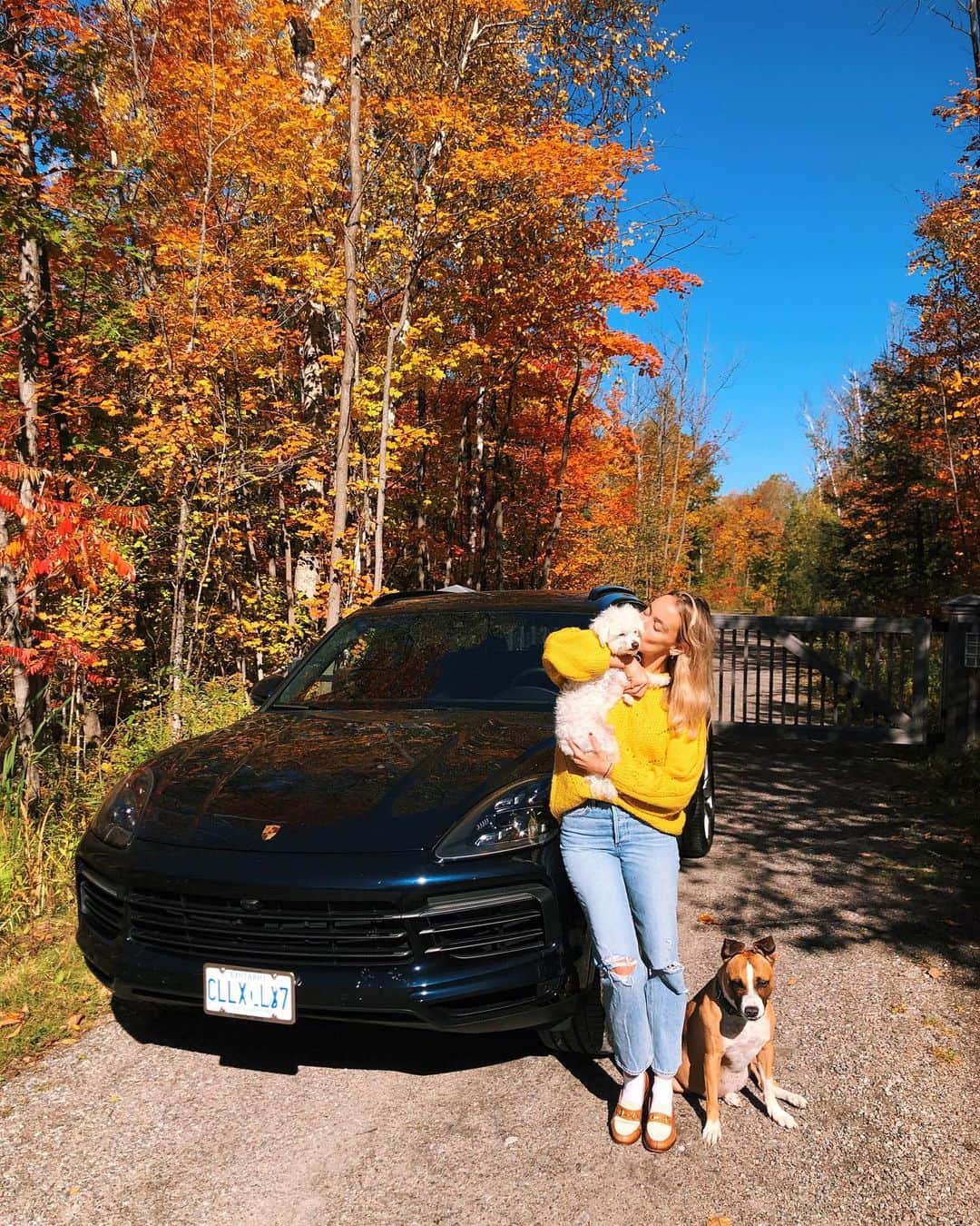 レイチェル・スカーステンのインスタグラム：「The pandemic has taught me many things, but especially the importance of family. Since I’ve been back at work I’ve missed them a lot. Thank you to @porschecanada for making sure I got home to see my family (dogs included!❤️) this weekend in such a safe and beautiful car. #porschedrive」
