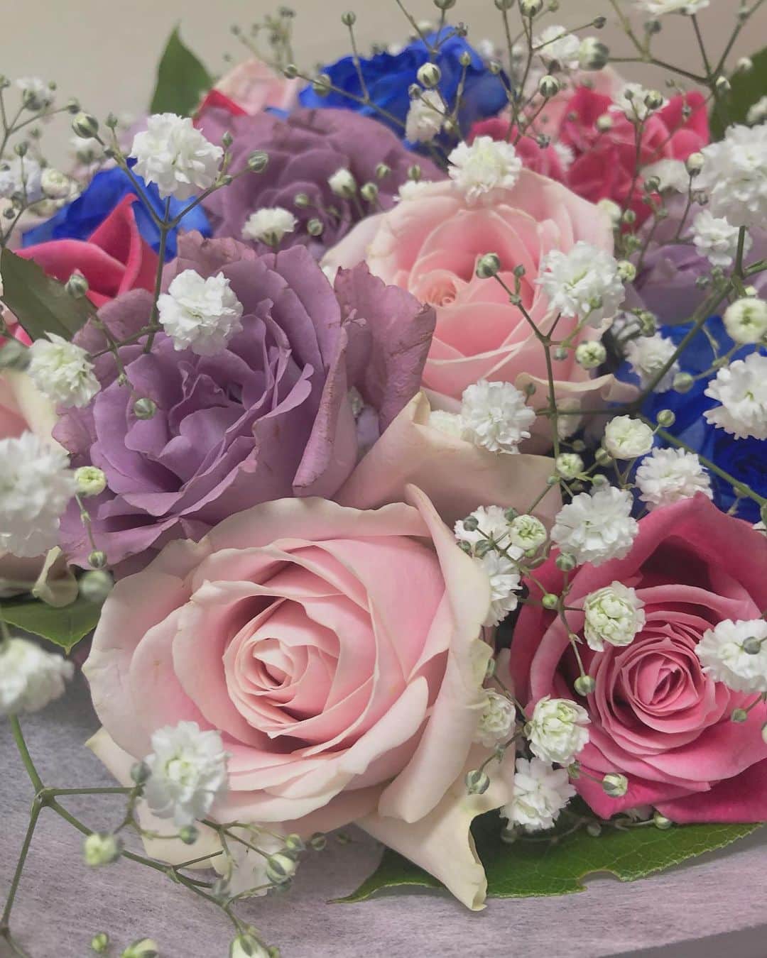 綱島恵里香のインスタグラム：「. . 素敵なお花を頂きました💐 うれしいな⸝⋆お部屋がぱぁと明るくなりました✧˖°⌖꙳ . .」