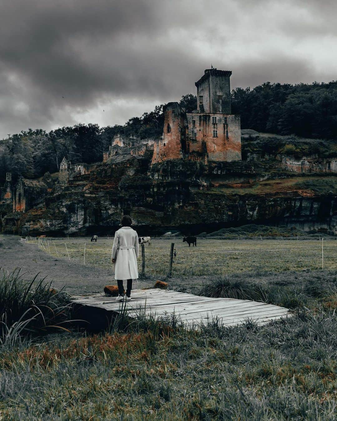 Enzo Cariniさんのインスタグラム写真 - (Enzo CariniInstagram)「Château de Commarque 🏰  #castle #nature #wood #chateau #nature #dordogne」10月14日 1時49分 - enzo_carini