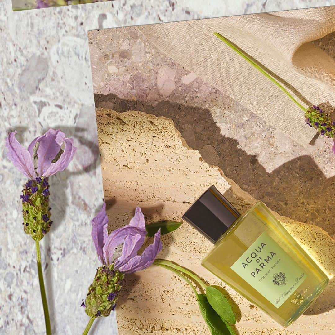 のインスタグラム：「Explore the full Colonia Futura collection including the Shampoo and Shower Gel. One natural scent, so many ways to indulge.⁣ ⁣ #ColoniaFutura⁣⁣ ⁣⁣ #AcquadiParma #Futura #AcquadiParmaFutura⁣⁣ #colonia #fragrances #newfragrance #icon #future #generation」
