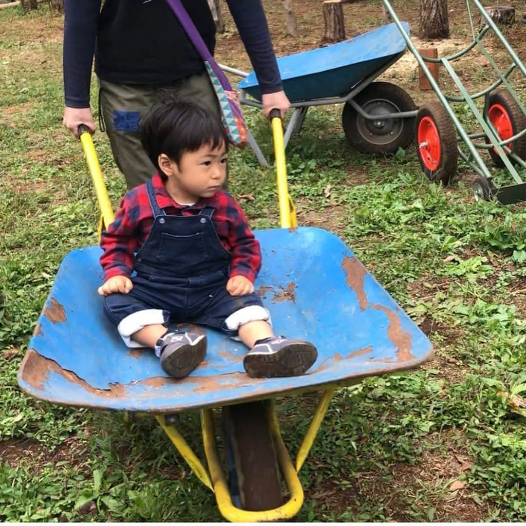 奥村奈津美さんのインスタグラム写真 - (奥村奈津美Instagram)「秋の味覚狩りにハイキング！？ 里山再生プロジェクト  知人からお誘いを頂き、八王子にある宇津木の森へ行ってきました^_^  1歳半連れだと戦力にならないので微妙かなと思っていたのですが、皆さん、温かく迎えてくれました。  そして、息子、大興奮！！ ふかふかの土の上を２時間ほど歩き回り 時にカマキリやカタツムリに出会ったり、 もぎたての柿を皮ごとかぶりついたり、 どんぐりを拾ったり、 栗のトゲトゲさわったり、、  五感をフルに使って遊びました！  以前、私の防災の師匠から 子どもにとって一番大切なのは、体力！体力がしっかりついていれば、その後の様々な事を頑張れる！ と教えてもらいました。  歩育とか足育とかありますが、 とにかく自然の中を駆け回ることで、バランス感覚や体力がつきますよね。  こういう場所なら感染リスクも少ないですし。  JR日野駅からバスで20分ほど アクセスもしやすいのでオススメです。  ちなみに、里山を再生することは防災においても重要なことです。 今は里山を管理する人が減っているので、土砂災害が起きやすくなっていたり、被害が大きくなっています。  この里山再生プロジェクトを主催しているFoE Japanの方とコラボして、今週末、防災講座を開催します♪ @foejapan  10月17日(土)10 :30〜 電気を変えることが防災につながるって知ってましたか？  お金を払って温暖化を進めて 災害を増やす、そんなマイナスな投資は悲しすぎます。  詳しくは今週の土曜日、オンライン講座で！  子どもの未来を守りたい方、 まだ再生可能エネルギーの電力会社に切り替えていない方は、ぜひご参加ください。  参加ご希望の方は DM📩 or @natsumi19820521 のlinktreeから公式LINEにご登録 or peatixよりお申し込みください^_^  ☆*:.｡.┈┈┈┈┈┈┈┈┈┈┈┈┈┈┈┈┈┈┈┈.｡.:*☆﻿ ﻿ 見てくださり、ありがとうございます😊﻿ 子どもの未来のためにできることを考え、発信してます♡﻿ ﻿ 仲良くして頂けると嬉しいです♪ ﻿@natsumi19820521 フォロー、いいね、励みになります。  #新米ママ #新米ママと繋がりたい #秋コーデ #hm #プチバトー #コーデ #ニューバランス #秋 #秋の味覚 #柿 #栗 #ゆず #里山 #八王子 #東京 #足育 #歩育 #モンテッソーリ #五感 #教育 #防災 #オンライン #再生可能エネルギー #パワーシフト #ママ的サステナブル  #お出かけ #子連れ #自然 #自然好きな人と繋がりたい #自然好き」10月14日 2時46分 - natsumi19820521